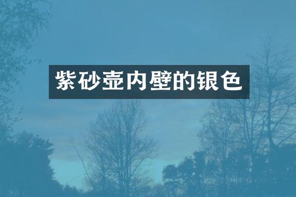 紫砂壶内壁的银色