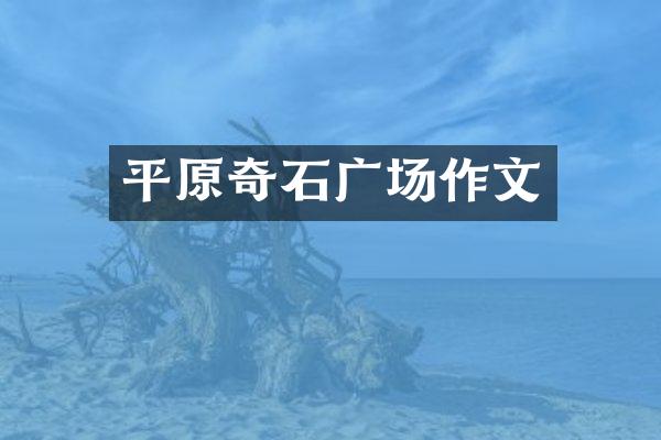 平原奇石广场作文