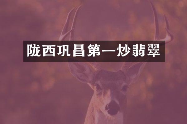 陇西巩昌第一炒翡翠