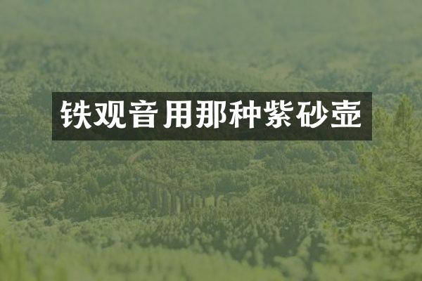 铁观音用那种紫砂壶