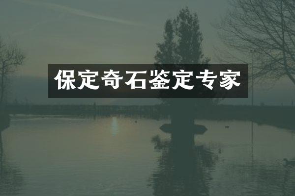 保定奇石鉴定专家