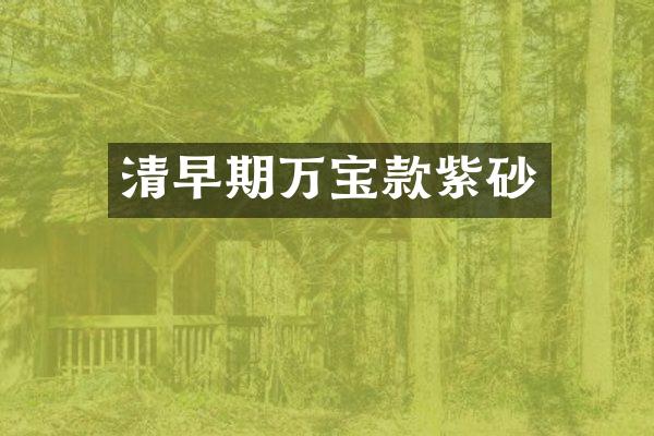 清早期万宝款紫砂