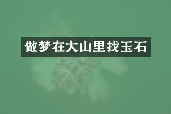 做梦在大山里找玉石