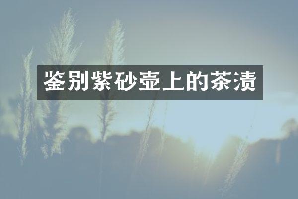 鉴别紫砂壶上的茶渍