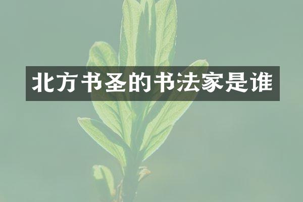 北方书圣的书法家是谁