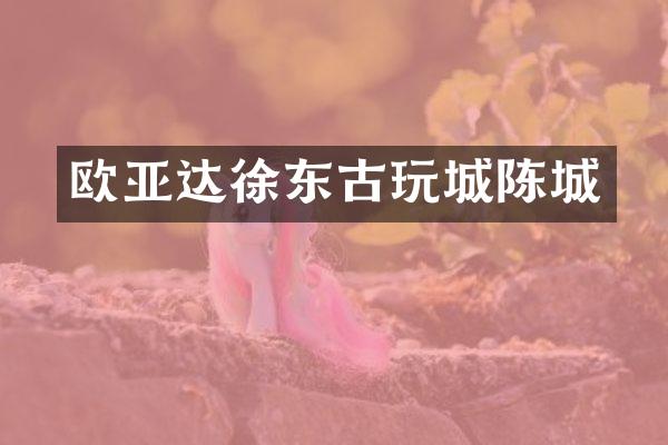 欧亚达徐东古玩城陈城