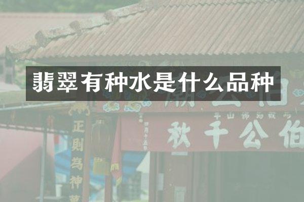 翡翠有种水是什么品种