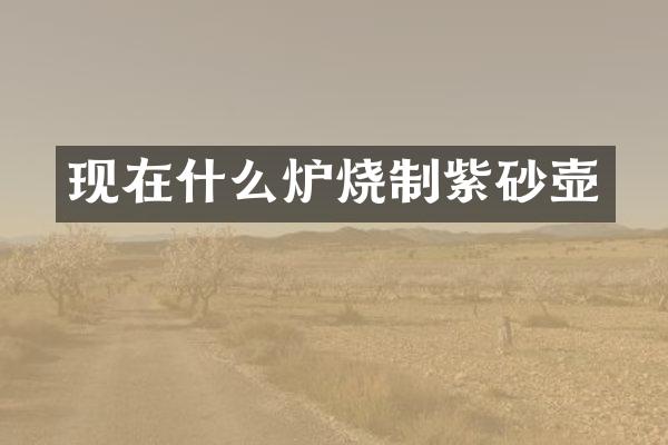 现在什么炉烧制紫砂壶
