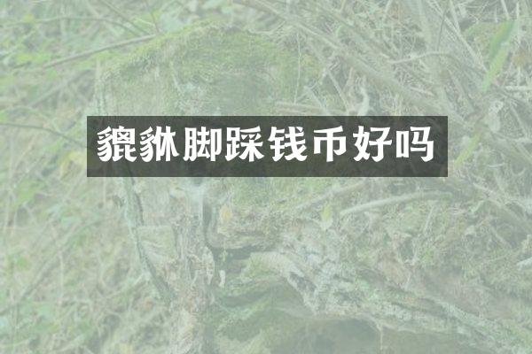 貔貅脚踩钱币好吗