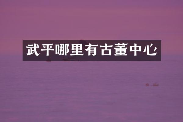 武平哪里有古董中心