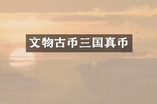 文物古币三国真币