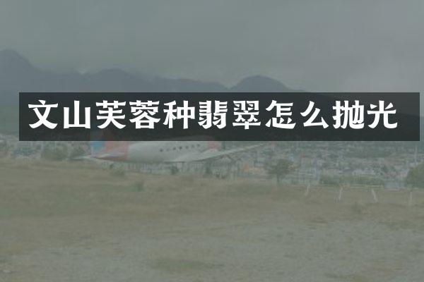 文山芙蓉种翡翠怎么抛光