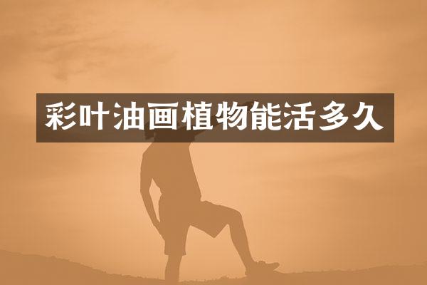彩叶油画植物能活多久