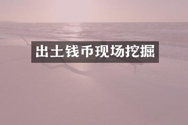 出土钱币现场挖掘