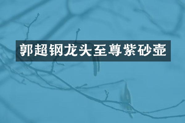 郭超钢龙头至尊紫砂壶