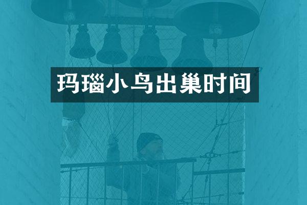 玛瑙小鸟出巢时间