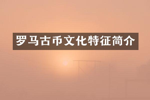罗币文化特征简介