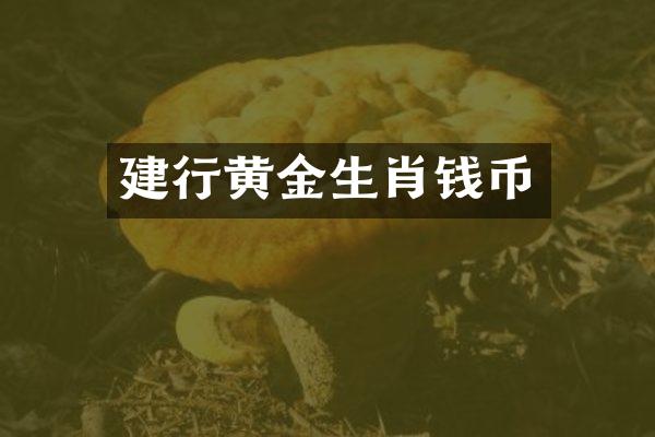 建行黄金生肖钱币