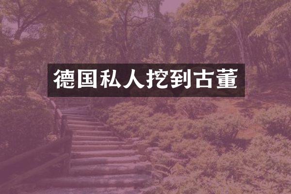 德国私人挖到古董