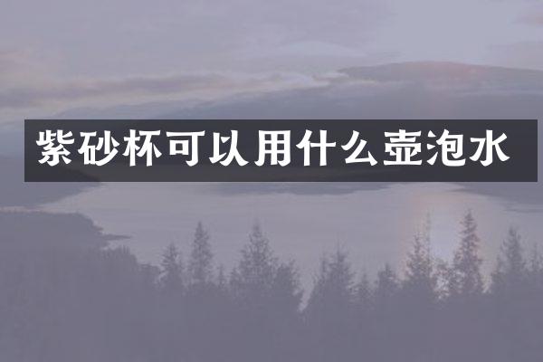 紫砂杯可以用什么壶泡水