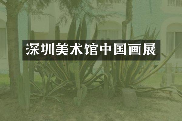 深圳美术馆中国画展