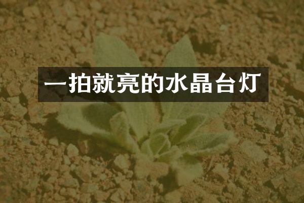 一拍就亮的水晶台灯