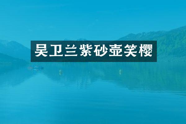 吴卫兰紫砂壶笑樱