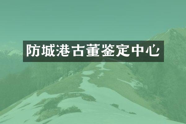 防城港古董鉴定中心