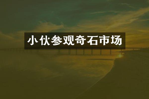 小伙参观奇石市场