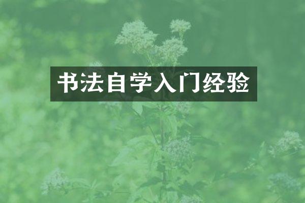 书法自学入门经验