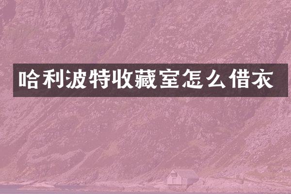 哈利波特收藏室怎么借衣