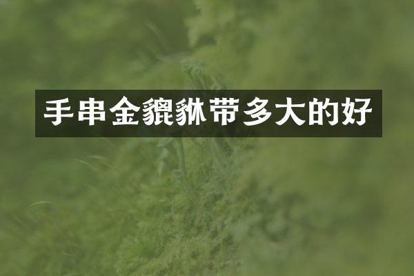 手串金貔貅带多大的好