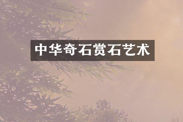 中华奇石赏石艺术