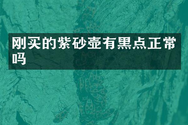 刚买的紫砂壶有黑点正常吗