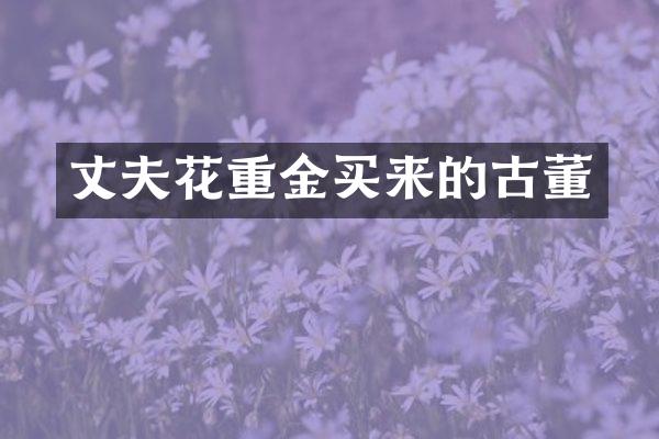 丈夫花重金买来的古董