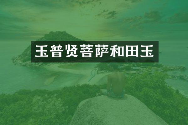 玉普贤菩萨和田玉