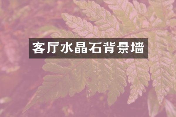 客厅水晶石背景墙
