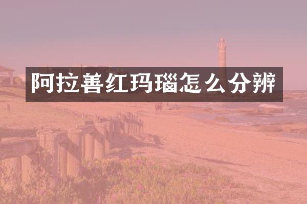 阿拉善红玛瑙怎么分辨