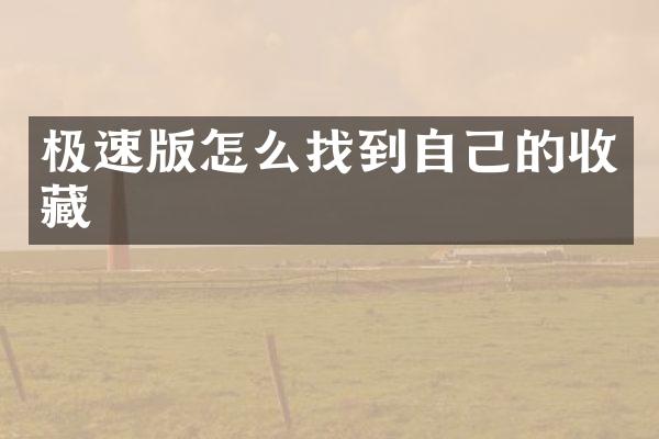 极速版怎么找到自己的收藏