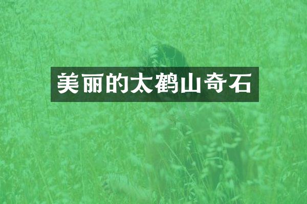 美丽的太鹤山奇石