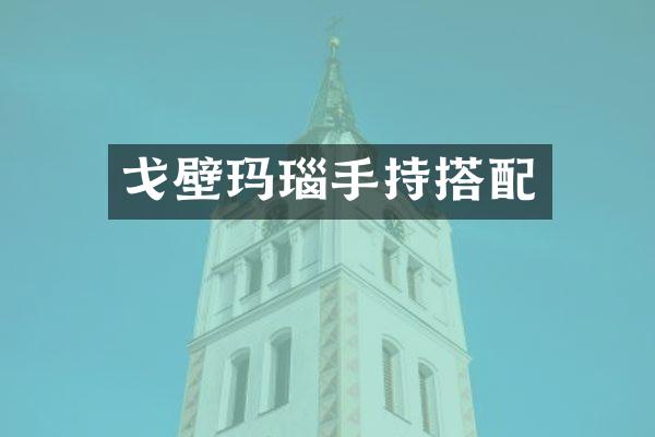 戈壁玛瑙手持搭配