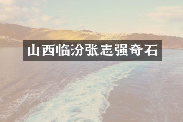 山西临汾张志强奇石