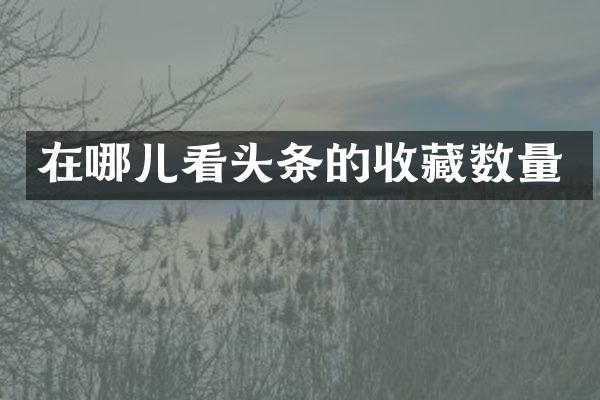在哪儿看头条的收藏数量