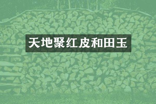 天地聚红皮和田玉