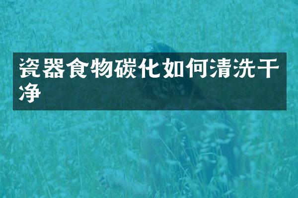 瓷器食物碳化如何清洗干净
