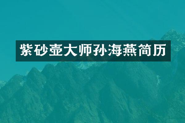紫砂壶大师孙海燕简历