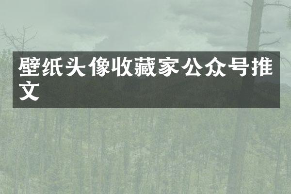 壁纸头像收藏家公众号推文