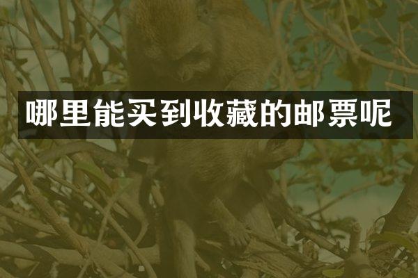 收藏的邮票呢