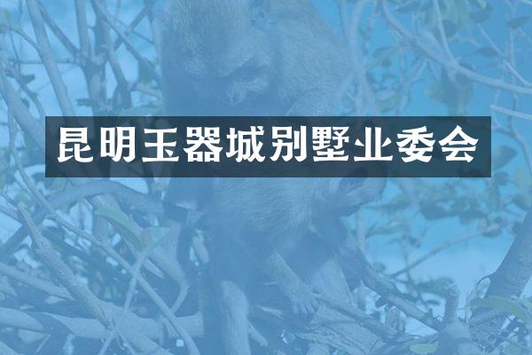 昆明玉器城别墅业委会