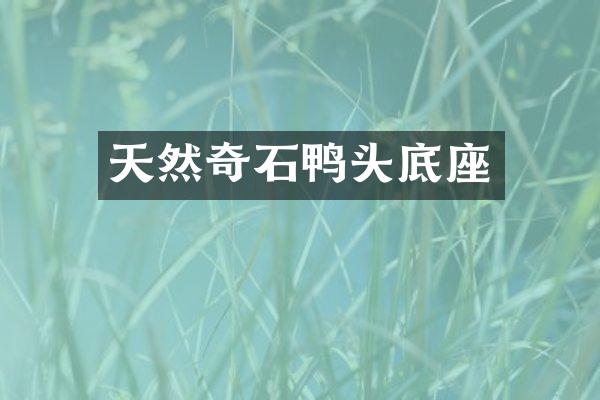 天然奇石鸭头底座